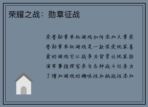 荣耀之战：勋章征战