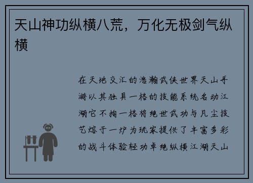 天山神功纵横八荒，万化无极剑气纵横