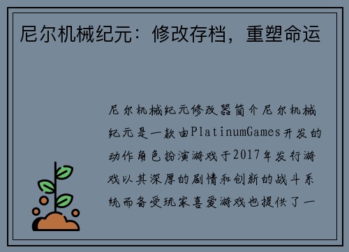 尼尔机械纪元：修改存档，重塑命运